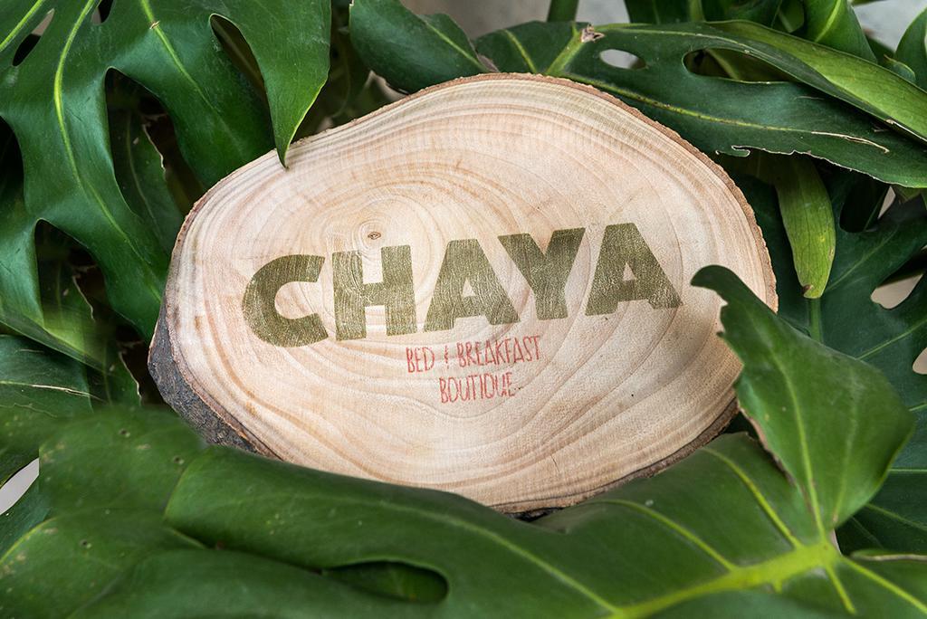 Chaya B&B Boutique México DF Habitación foto